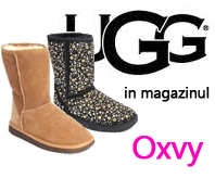 Accesorii